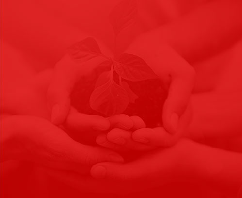 |ݸǧȾW(wng)j(lu)Ƽ޹˾